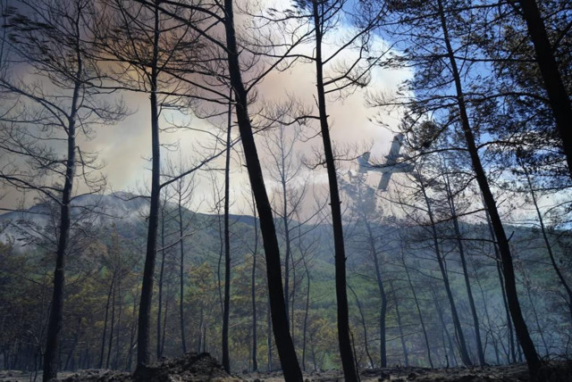 Marmaris'te orman yangını çıktı! Rüzgar kötü etkiyor alevler büyüyor - Resim: 0