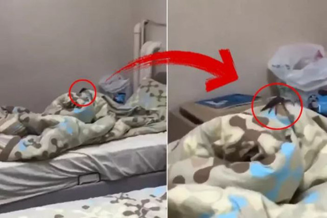 KYK kız öğrenci yurdunda şok eden görüntüler! Korkunç iddia: Böcekler, yılanlar... - Resim: 0