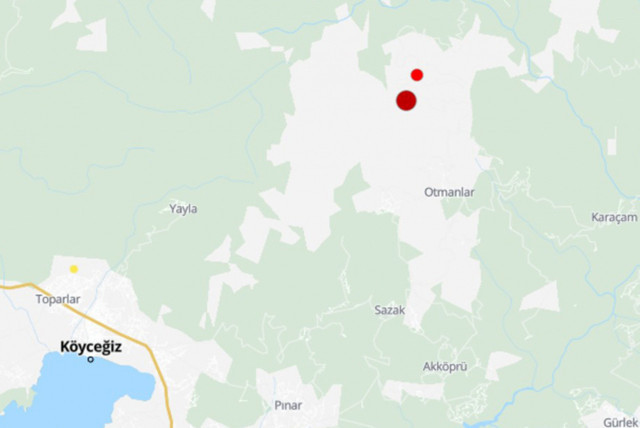 Muğla'da deprem oldu! AFAD'dan açıklama geldi - Resim: 0