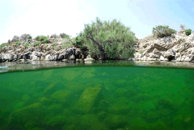  Bafa Gölü uzmanları şaşırttı: 'Bu kadarını ben bile beklemezdim' - Resim: 2