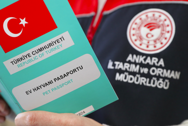 Yasaklı köpeklerin kayıtlarında son gün yoğunluğu - Resim: 0