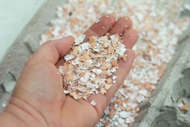 Muz kabuğuna şeker döküp vücudunuza sürün bakın neler olacak - Resim: 3