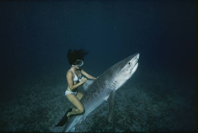 Günün en çılgın fotoğrafları - Resim: 2