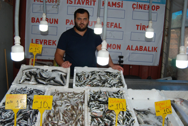 Sonunda Ordu'da hamsi yüzünü gösterdi - Resim: 0