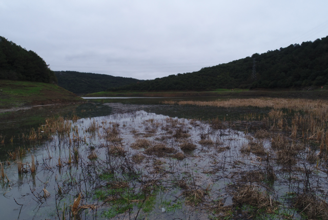 İstanbul'da yağışlar baraj doluluk oranını artırdı mı? İşte son durum - Resim: 1