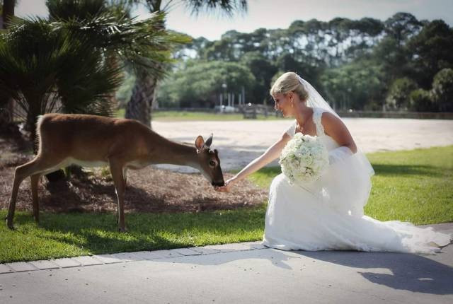 Günün en ilginç 40 fotoğrafı! - Resim: 4