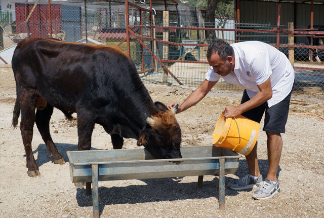 Tüm Türkiye onları konuşmuştu! Sonunda buluştular  - Resim: 4