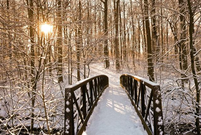 Cennetin merak edilen sırrı - Resim: 3