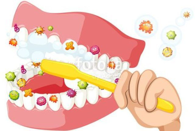 Diş fırçanızda dışkı olabilir - Resim: 4