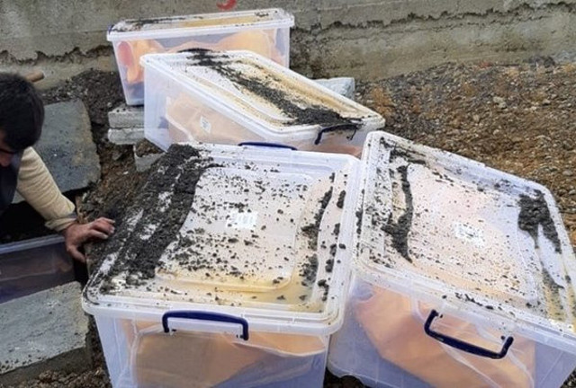 PKK'nın sakladığı 261 terörist cesedini devlet ortaya çıkardı - Resim: 0