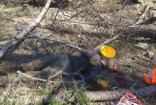 Antalya'da arkadaşının kestiği ağacın altında can verdi - Resim: 0