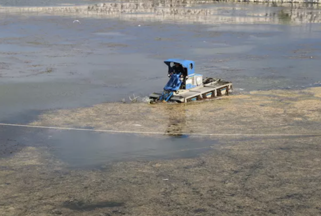 Eğridir Gölü eylem planı devrede! - Resim: 1