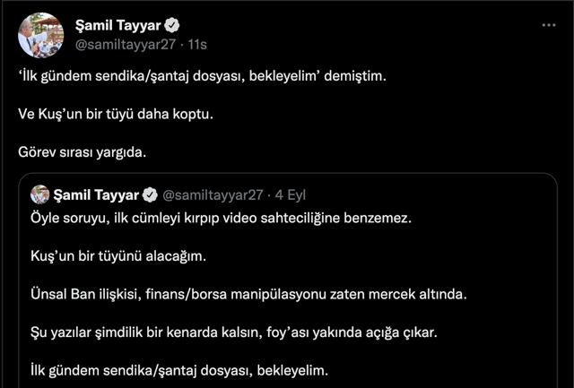 Şamil Tayyar'dan bomba iddia! DP Kadın Kolları Başkanı'nın 'Ankara Kuşu'ndan gayrimeşru bebeği var - Resim: 1