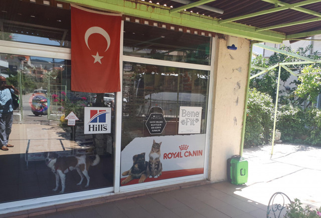 Marmaris'te dövülüp 2 bacağı kesilmiş halde bulunan kedi uyutuluyor! - Resim: 0