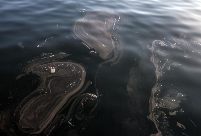 Balıkçıların kabusu olmuştu! İstanbul’da müsilaj yeniden görüldü - Resim: 0