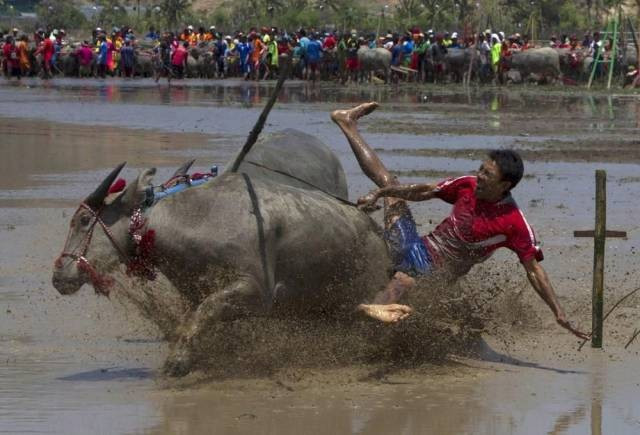 Günün en ilginç fotoğrafları - Resim: 4