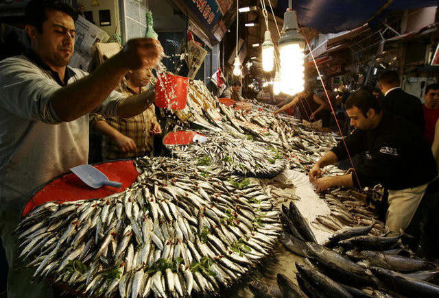 Denizlerde balık bereketi - Resim: 3