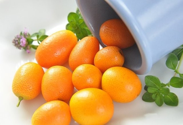 Obezitenin çaresi turunçgillerde mi? - Resim: 2