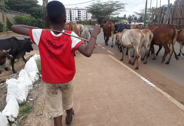 Mesut Özil'den eski dostuna peş peşe yardımlar - Resim: 0