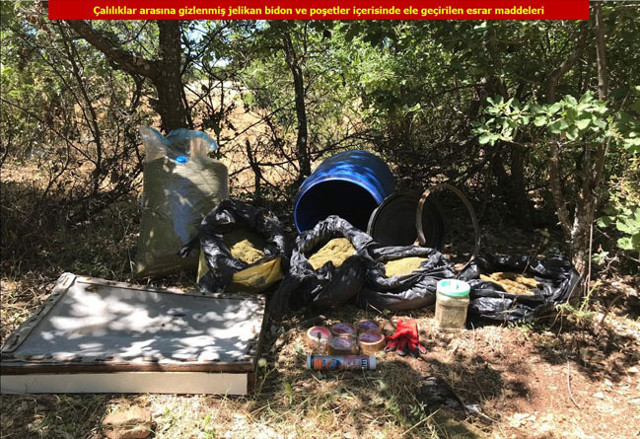 Diyarbakır’da 5 milyon 430 bin kök kenevir ele geçirildi - Resim: 0