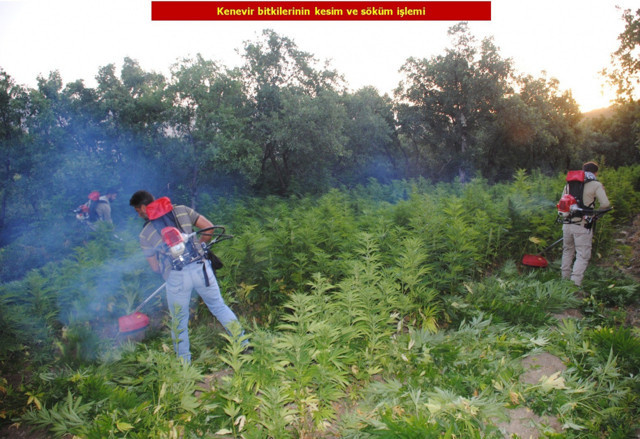 Diyarbakır Lice'de uyuşturucu operasyonu! Yüksek miktarda esrar ele geçirildi - Resim: 3