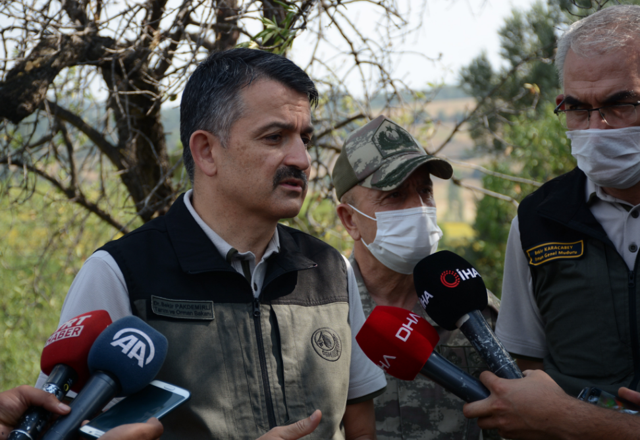 Gelibolu Yarımadası'nda orman yangını! Acı bilançoyu Bakan Pakdemirli açıkladı - Resim: 3