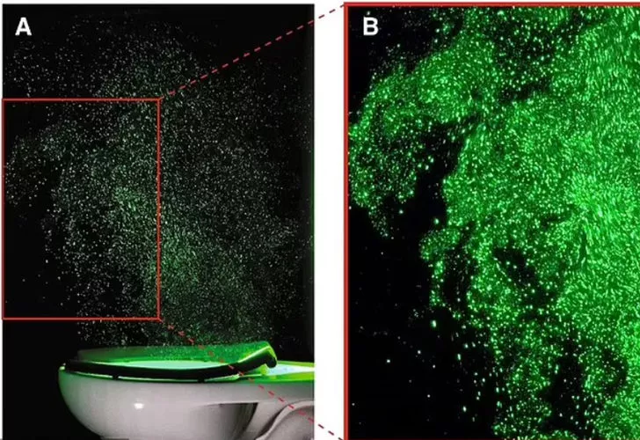 Tuvaletteki gizli tehlike! Ölümcül hastalık böyle yayılıyor: Her şey 8 saniyede oluyor - Resim: 0
