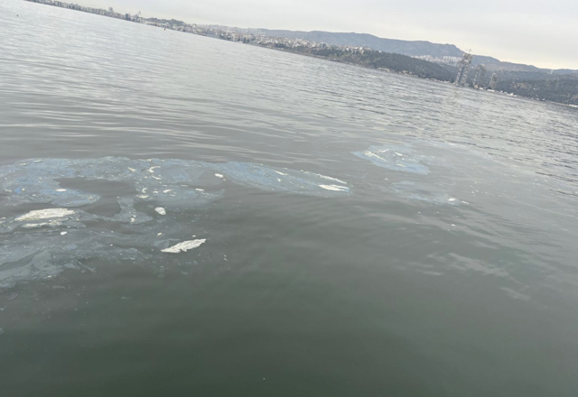 İzmir Körfezi'ne boya atığı deşarj eden firmaya 8,3 milyon lira ceza - Resim: 0
