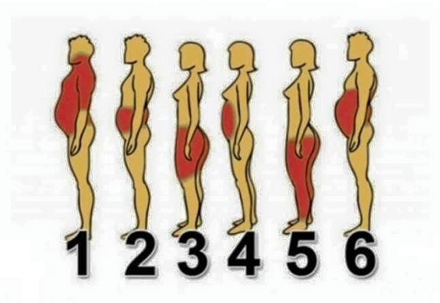 Şişmanlama nedeninizi biliyor musunuz? - Resim: 2