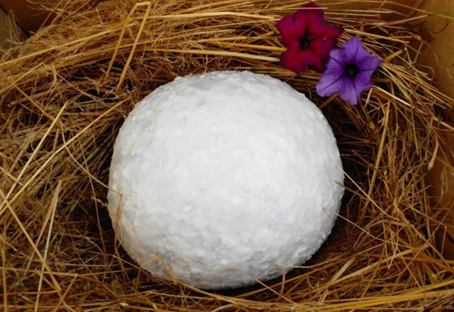 Bu yöntemle kışın da karpuz yiyebilirsiniz - Resim: 4