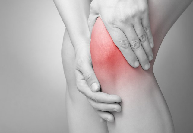 Kurubaklagillerin 9 mucizesi - Resim: 2