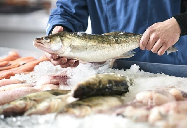 Hangi balık ne kadar tüketilmeli? Bu balığın fazlası zarar - Resim: 1