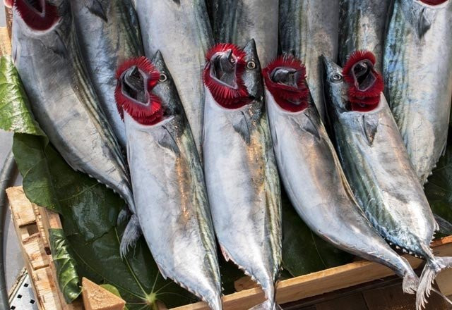 Hangi balık ne kadar tüketilmeli? Bu balığın fazlası zarar - Resim: 3