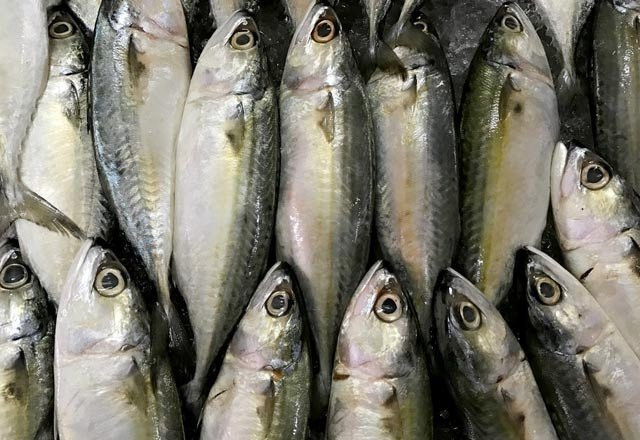 Hangi balık ne kadar tüketilmeli? Bu balığın fazlası zarar - Resim: 4