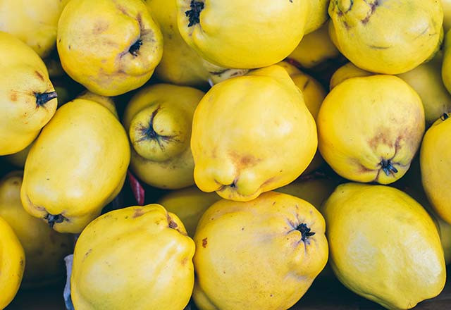 Şimdi tam mevsimi! Ayvanın muhteşem faydaları - Resim: 2