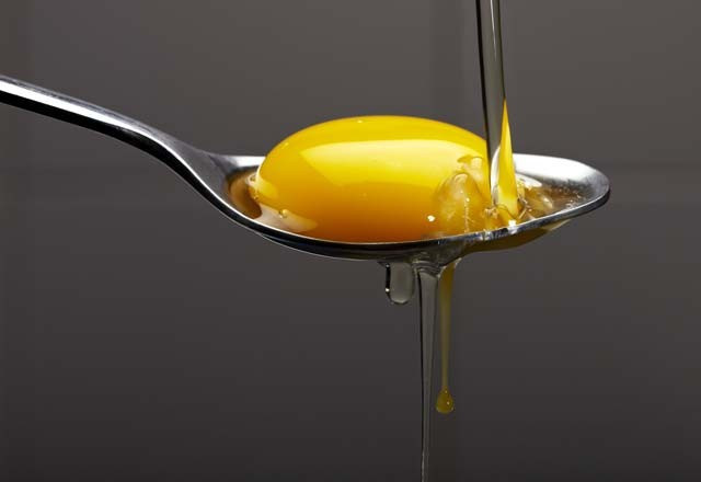 Günde bir yumurta bakın ne yapıyor! Sandığınız gibi değil - Resim: 3