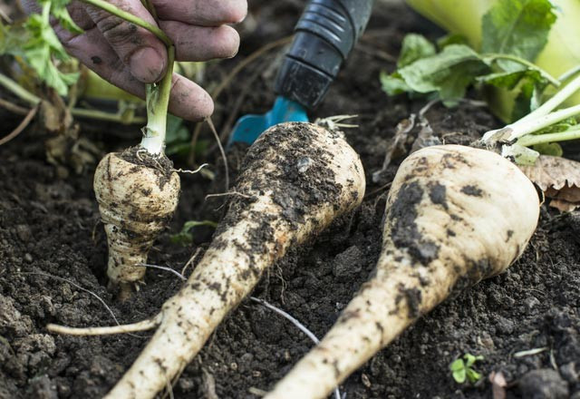 İlişki öncesinde özel bölgeye limon! - Resim: 2