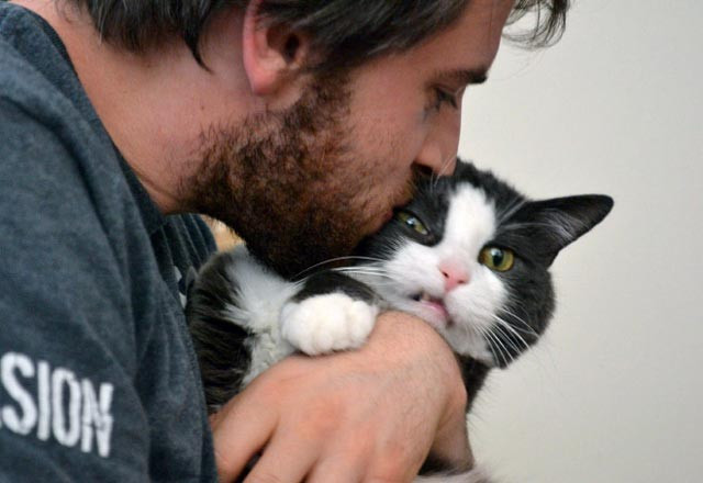 Selfie çektirmekten nefret eden kediler - Resim: 1