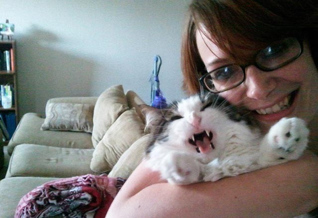 Selfie çektirmekten nefret eden kediler - Resim: 3