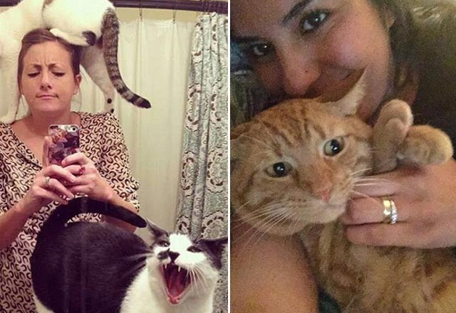 Selfie çektirmekten nefret eden kediler - Resim: 4