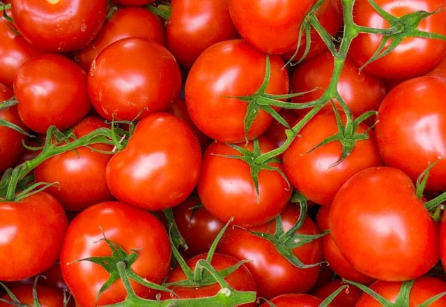 Canan Karatay'dan domates uyarısı! - Resim: 4