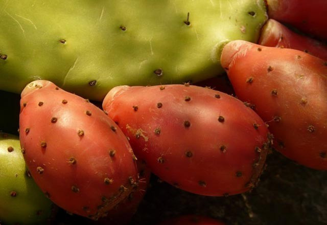 Hem serinletiyor hem zayıflatıyor - Resim: 2