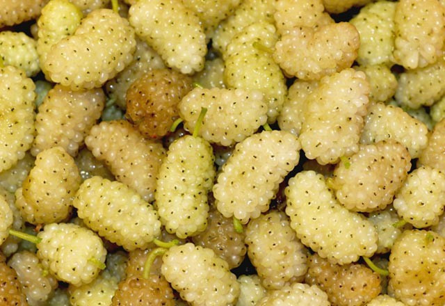 Beyaz dut ile egzamadan kurtulun - Resim: 3