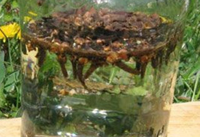 1 haftada 3 kilo verdiren karanfil suyu - Resim: 3