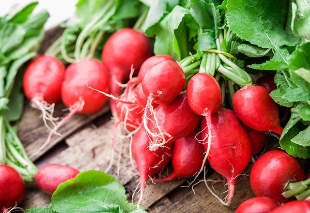 Çocuğunuzu kış hastalıklarından koruyun - Resim: 2