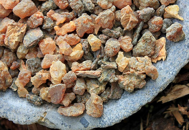 Mürsafi nedir? Mürsafinin inanılmaz faydaları! - Resim: 4