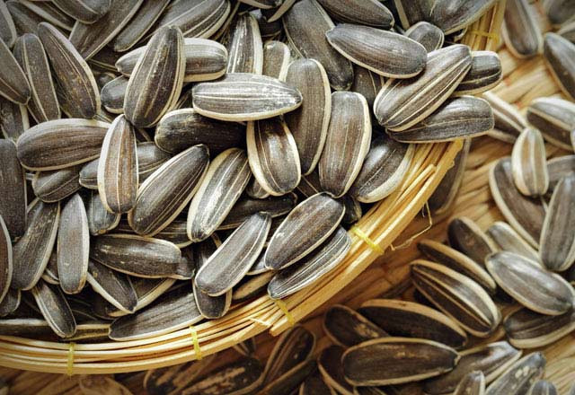 Çekirdek insan psikolojisine iyi geliyor - Resim: 4