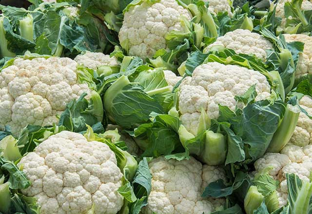 Sınırsız yiyebileceğiniz zayıflatıcı yiyecekler - Resim: 1