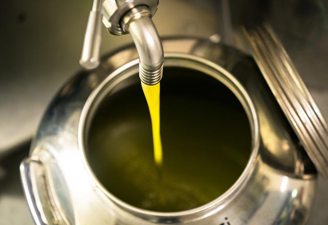 Canan Karatay: 'İstikbal bağırsaklarımızda' - Resim: 2