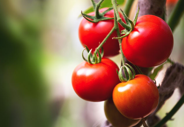 Kahvaltıda bu yiyeceklerden uzak durun - Resim: 4